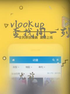 vlookup查找同一列重复数据