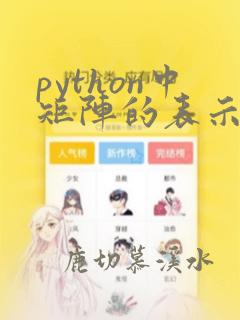 python中矩阵的表示