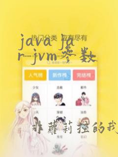 java jar jvm参数