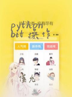 python bit 操作