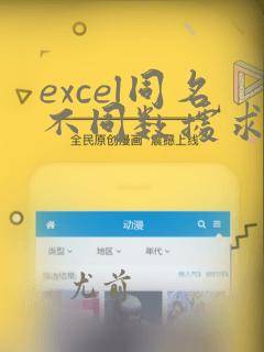 excel同名不同数据求和