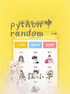 python中random