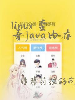 linux 查看java内存