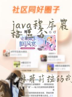 java程序严格区分