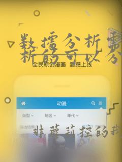数据分析需求分析的可以分解为