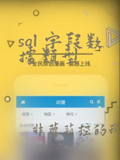 sql 字段数据类型