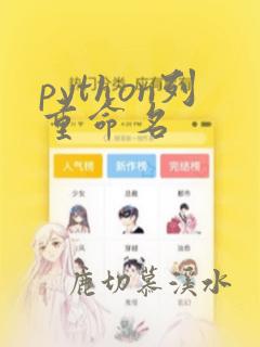 python列重命名