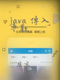 java 传入参数