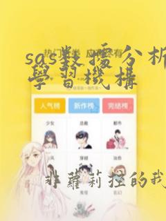 sas数据分析学习机构