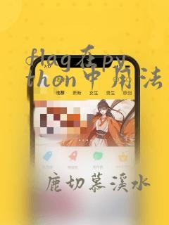 flag在python中用法