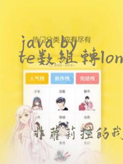java byte数组转long