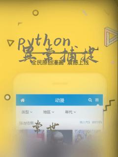 python 异常捕捉