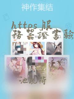 https 服务器证书验证