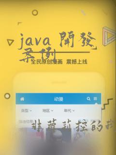 java 开发案例