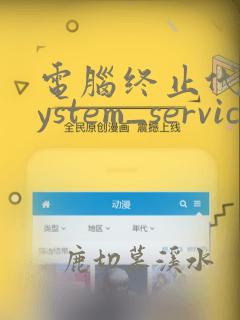 电脑终止代码system_service_exception