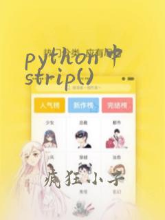 python中strip()