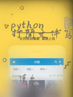 python 打开文件写入