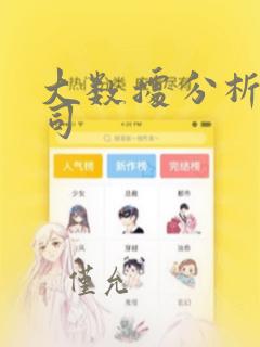 大数据分析类公司