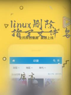 linux删除指定文件名的文件