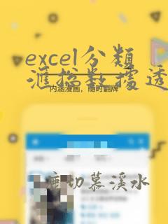 excel分类汇总数据透视表