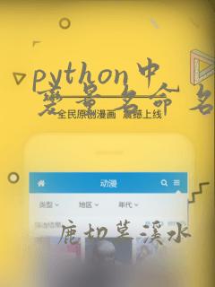 python中变量名命名规则