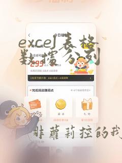 excel表格数据分列