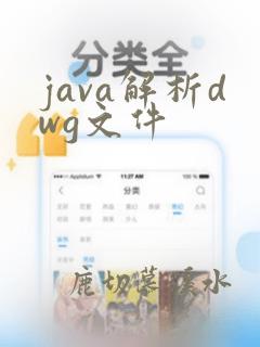 java解析dwg文件