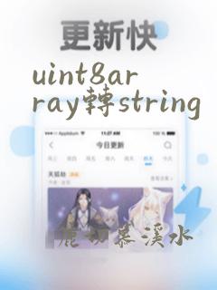 uint8array转string