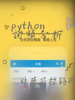 python 词频分析