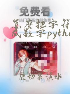 怎么把字符串变成数字python