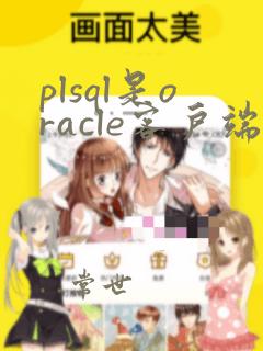plsql是oracle客户端吗
