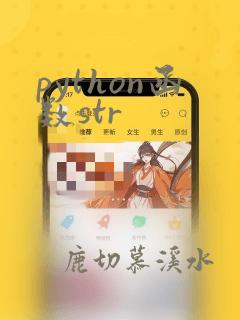 python函数str