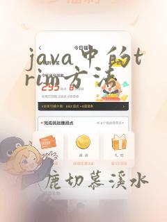 java中的trim方法