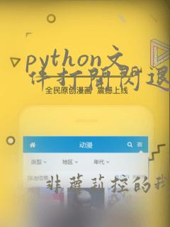 python文件打开闪退
