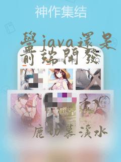 学java还是前端开发