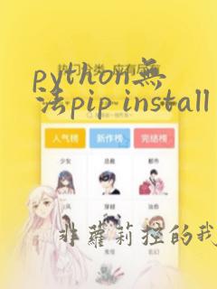 python无法pip install