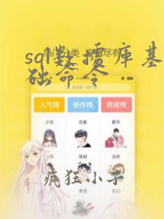 sql数据库基础命令