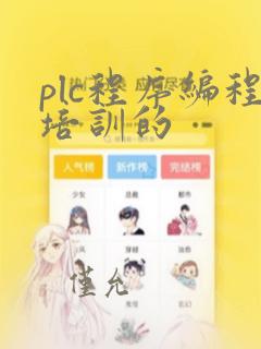 plc程序编程培训的