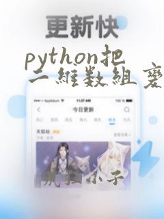 python把二维数组变成一维