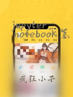 jupyter notebook怎么写python代码