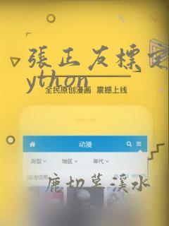 张正友标定法python