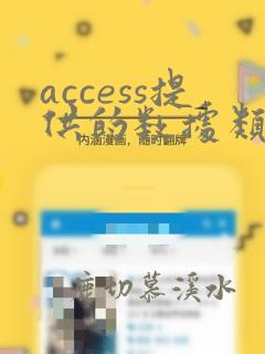 access提供的数据类型中不包括