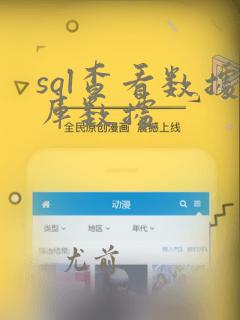 sql查看数据库数据