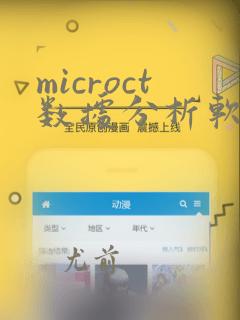 microct数据分析软件