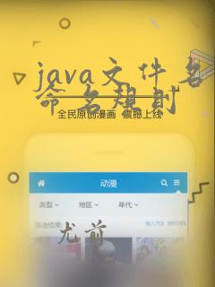 java文件名命名规则