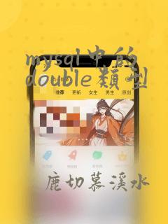 mysql中的double类型