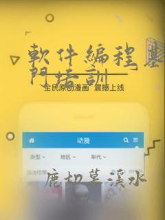 软件编程基础入门培训