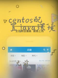 centos配置java环境