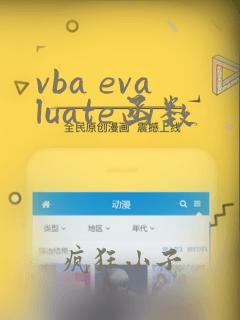 vba evaluate函数
