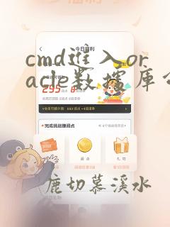 cmd进入oracle数据库命令